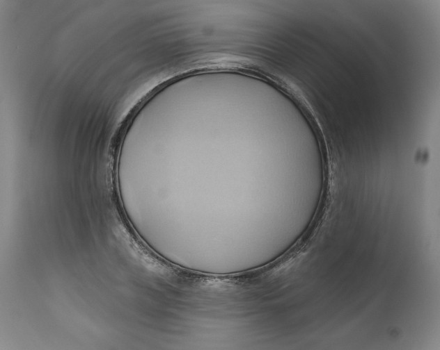 X0000110680835200907021908