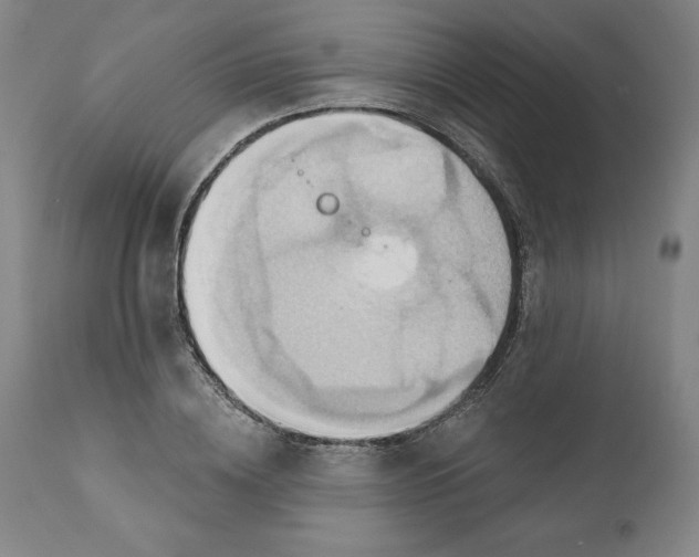 X0000110680836200907021908