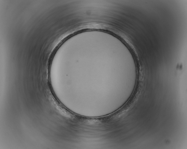 X0000110680837200907021908