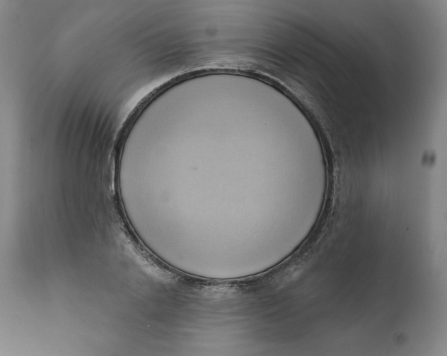 X0000110680838200907021908