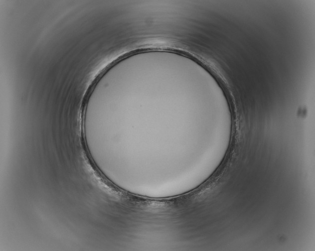 X0000110680839200907021908