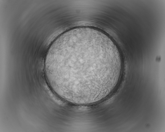 X0000110680841200907021908