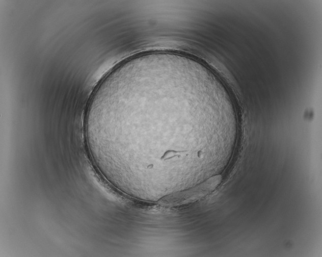 X0000110680842200907021908