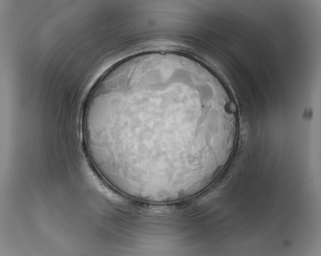 X0000110680843200907021908