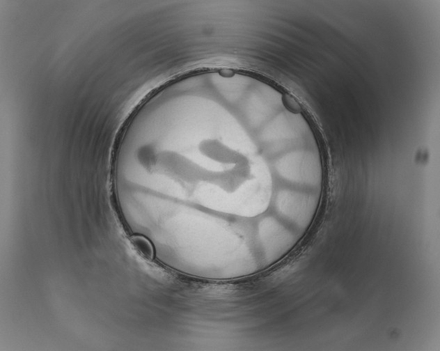 X0000110680845200907021908