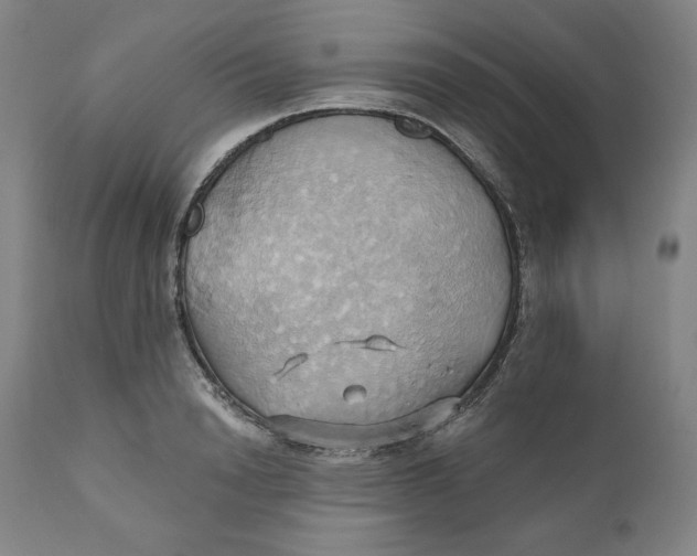 X0000110680846200907021908