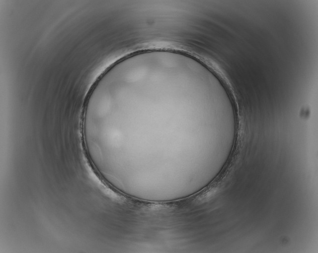 X0000110680847200907021908