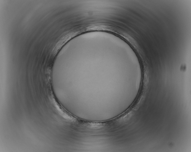 X0000110680849200907021908