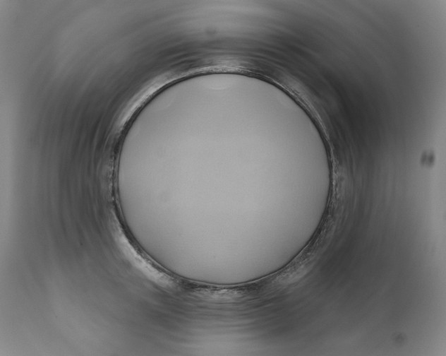 X0000110680851200907021908