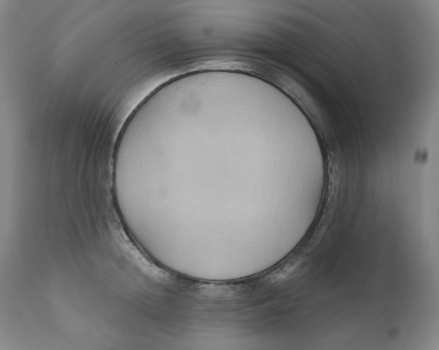 X0000110680852200907021908