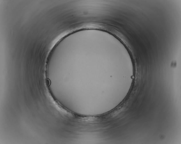 X0000110680853200907021908