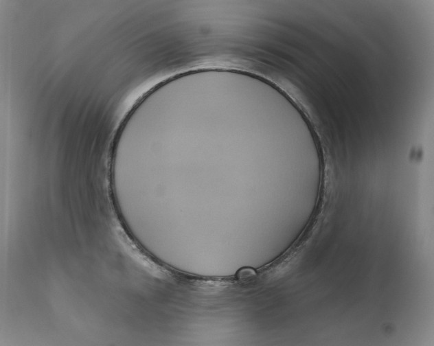 X0000110680854200907021908