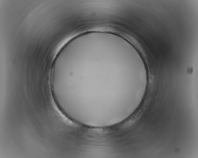 X0000110680855200907021908