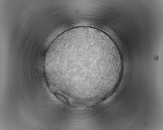 X0000110680857200907021908