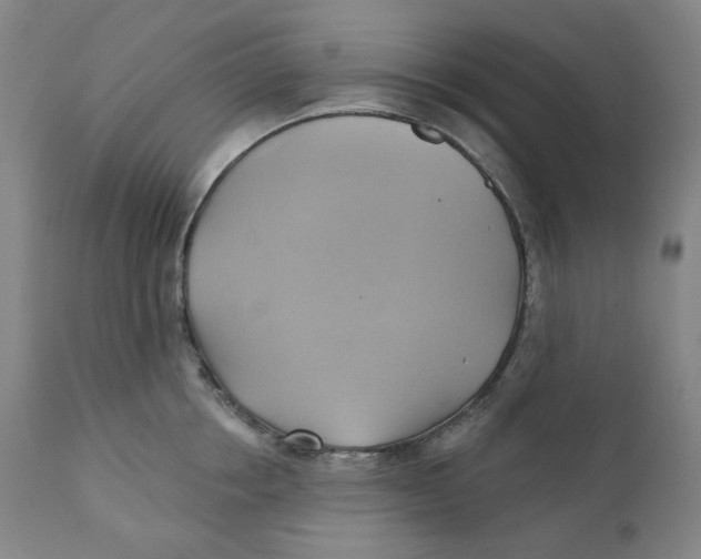 X0000110680858200907021908