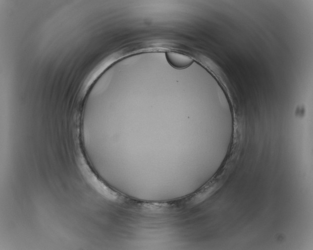 X0000110680859200907021908