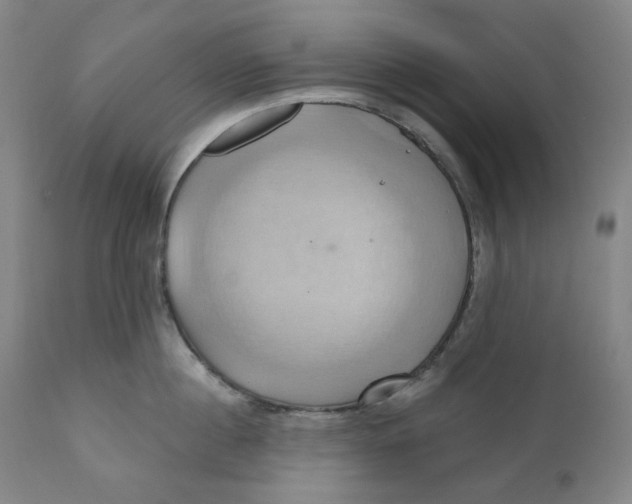 X0000110680860200907021909