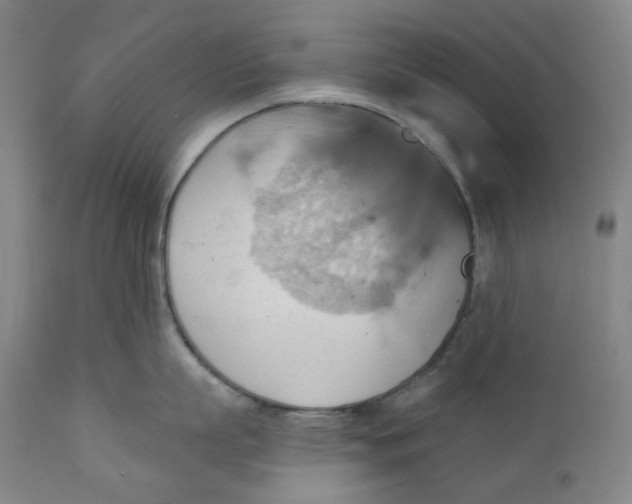 X0000110680863200907021909