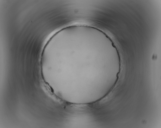 X0000110680864200907021909