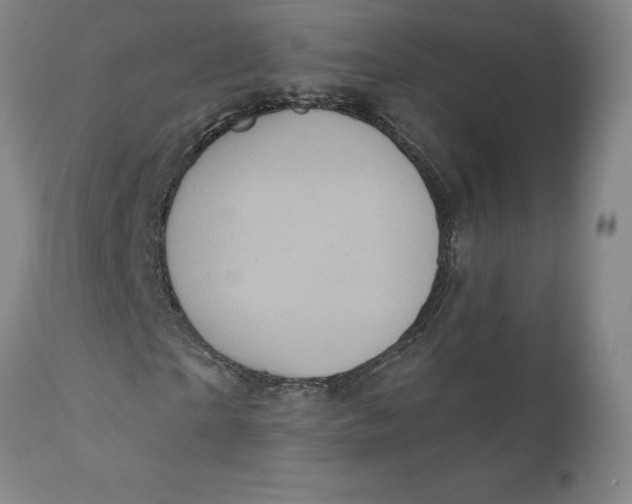 X0000110680865200907021908