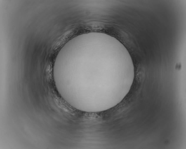 X0000110680866200907021908