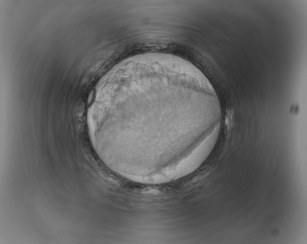 X0000110680867200907021908