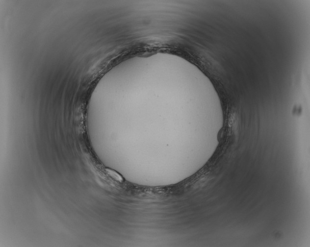 X0000110680868200907021908