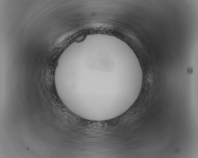 X0000110680869200907021908