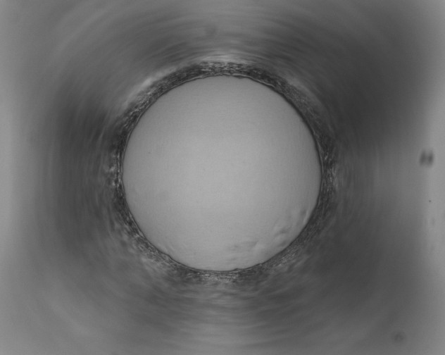 X0000110680870200907021908