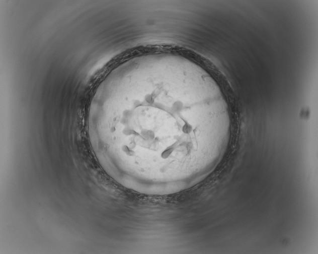 X0000110680871200907021908