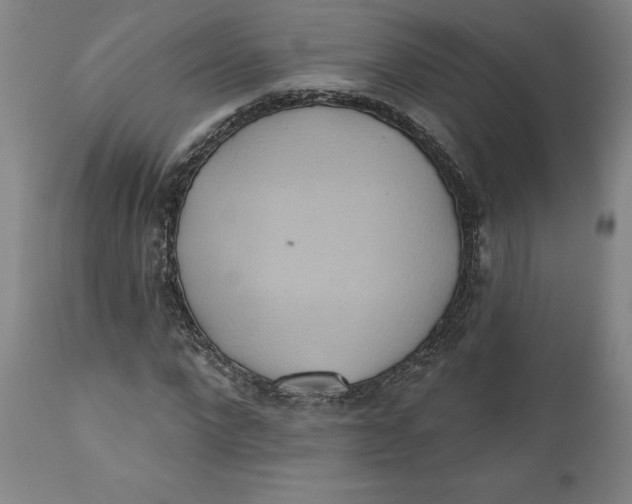 X0000110680872200907021908