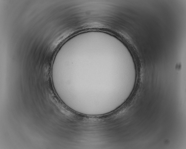 X0000110680873200907021908