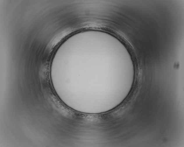 X0000110680874200907021908