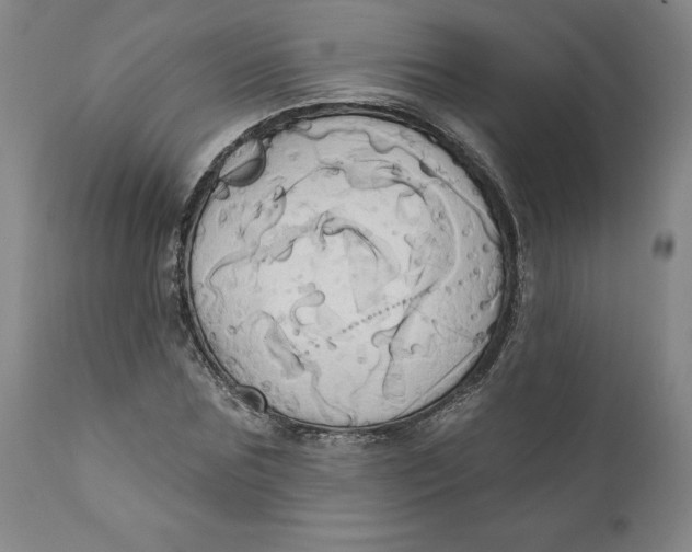 X0000110680875200907021908