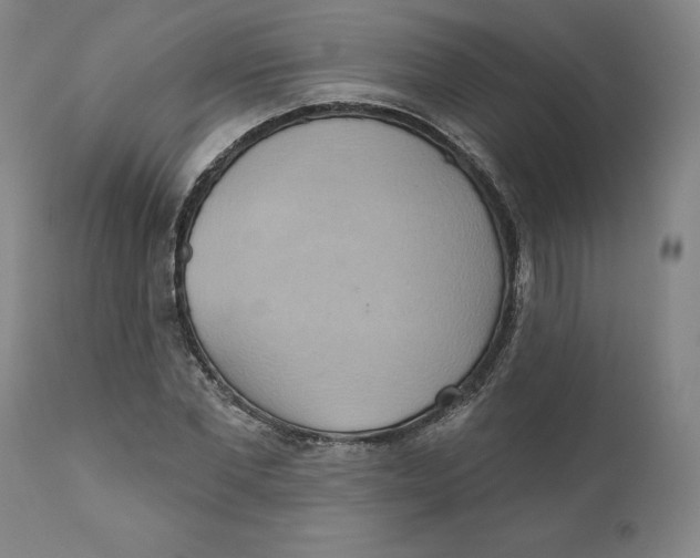 X0000110680877200907021908