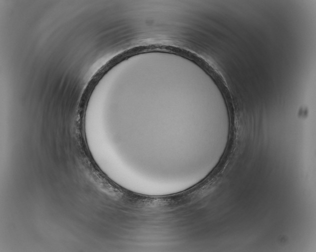 X0000110680879200907021908