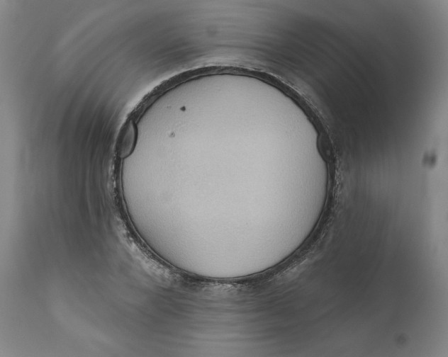 X0000110680880200907021908