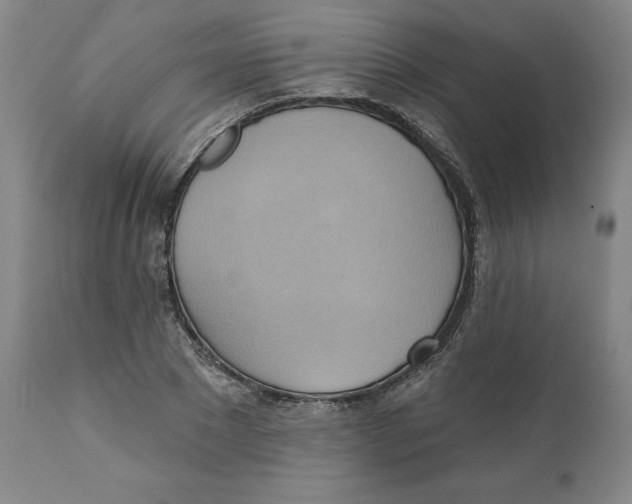 X0000110680881200907021908