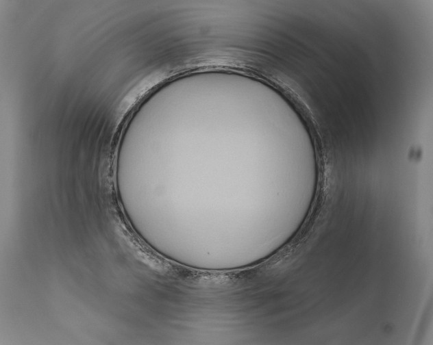 X0000110680882200907021907