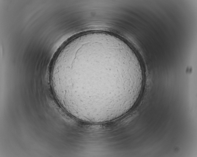 X0000110680883200907021907