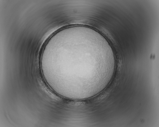 X0000110680884200907021907