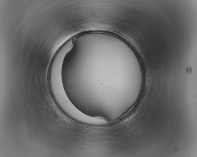 X0000110680885200907021907