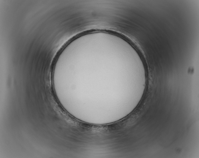 X0000110680887200907021907