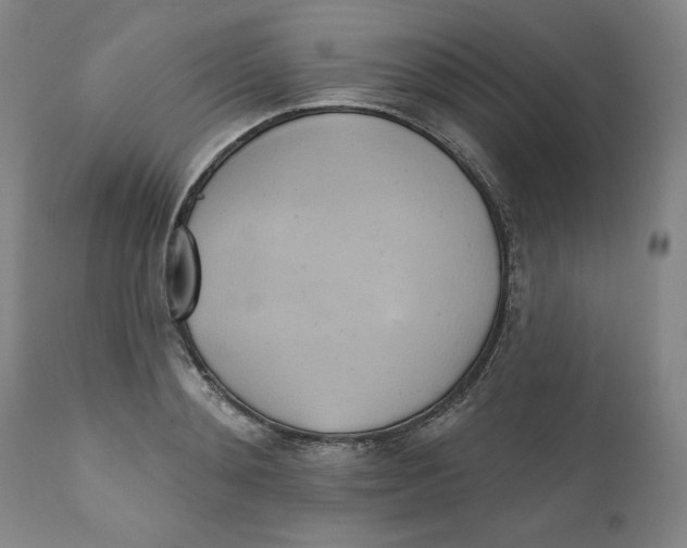 X0000110680892200907021907