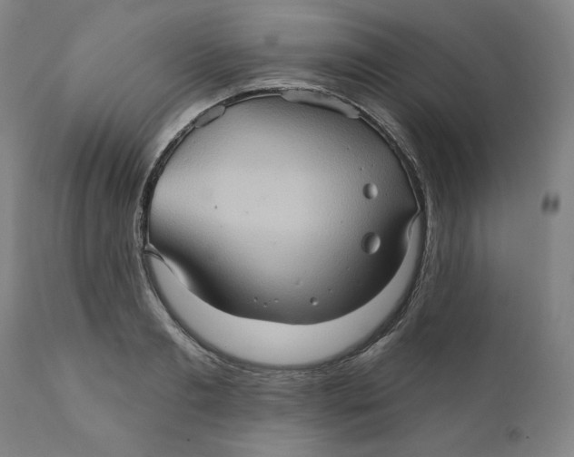 X0000110680893200907021907