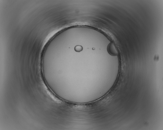 X0000110680894200907021907