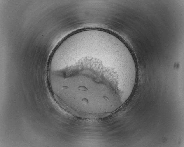 X0000110680895200907021907