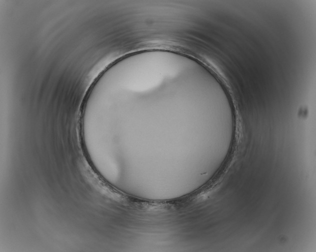 X0000110680899200907021907