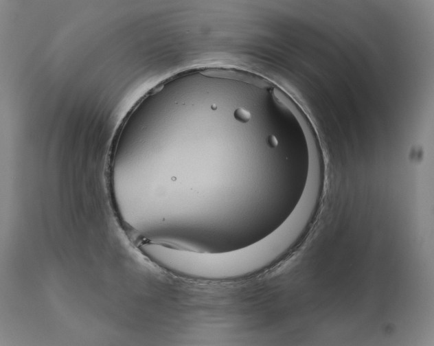 X0000110680901200907021907