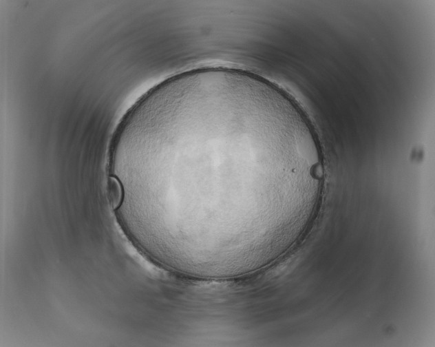 X0000110680902200907021907